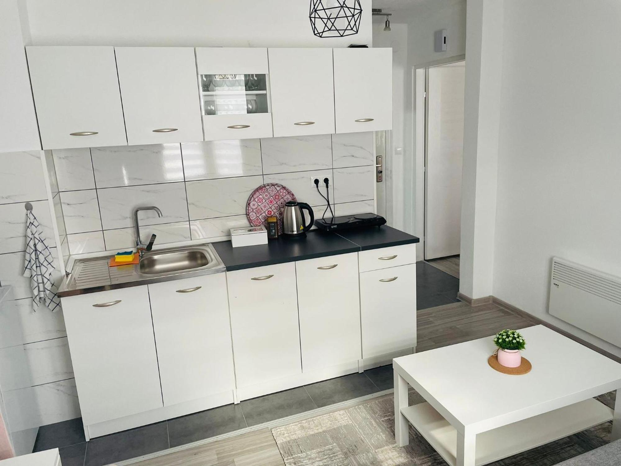 Apartment Zara Bihać Extérieur photo